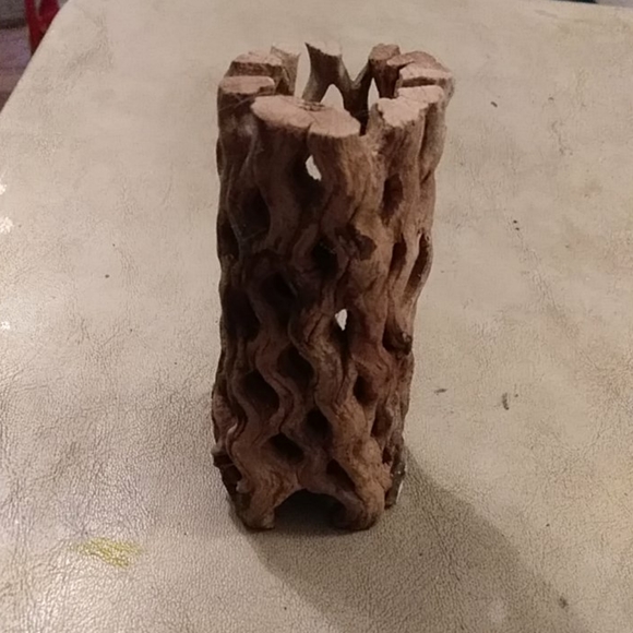 Hermit crab climbing log. - Picture 4 of 4